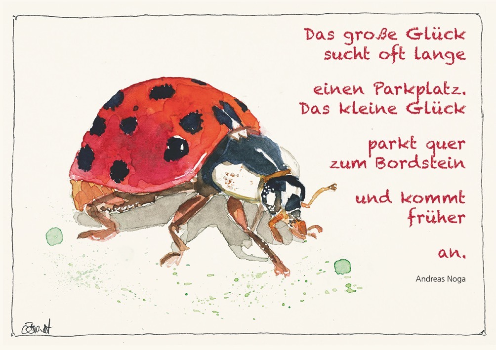 Wohin geht's Wohin geht's