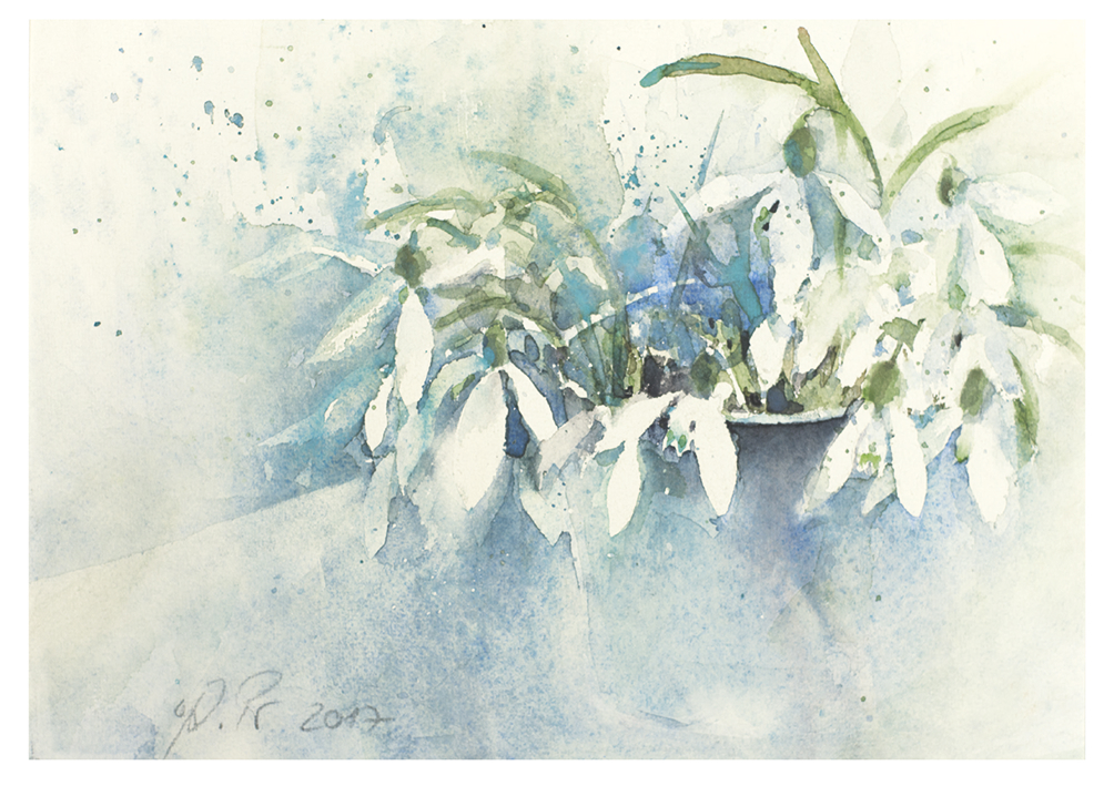 Pr senz Medien Verlag Shop pr-senz-medien-verlag-shop