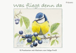 Was fliegt dann da?