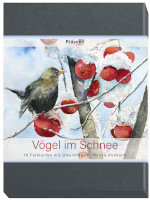 Vögel im Schnee