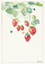 Erdbeeren